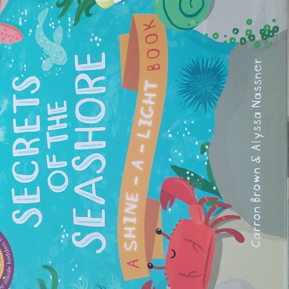 Secrets of the Seashore A Shine-A-Light Book - New - Picture 2 of 7
